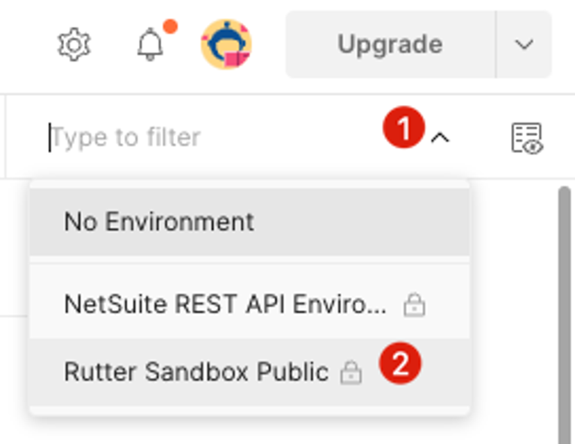 Select environment called Rutter Sandbox Public